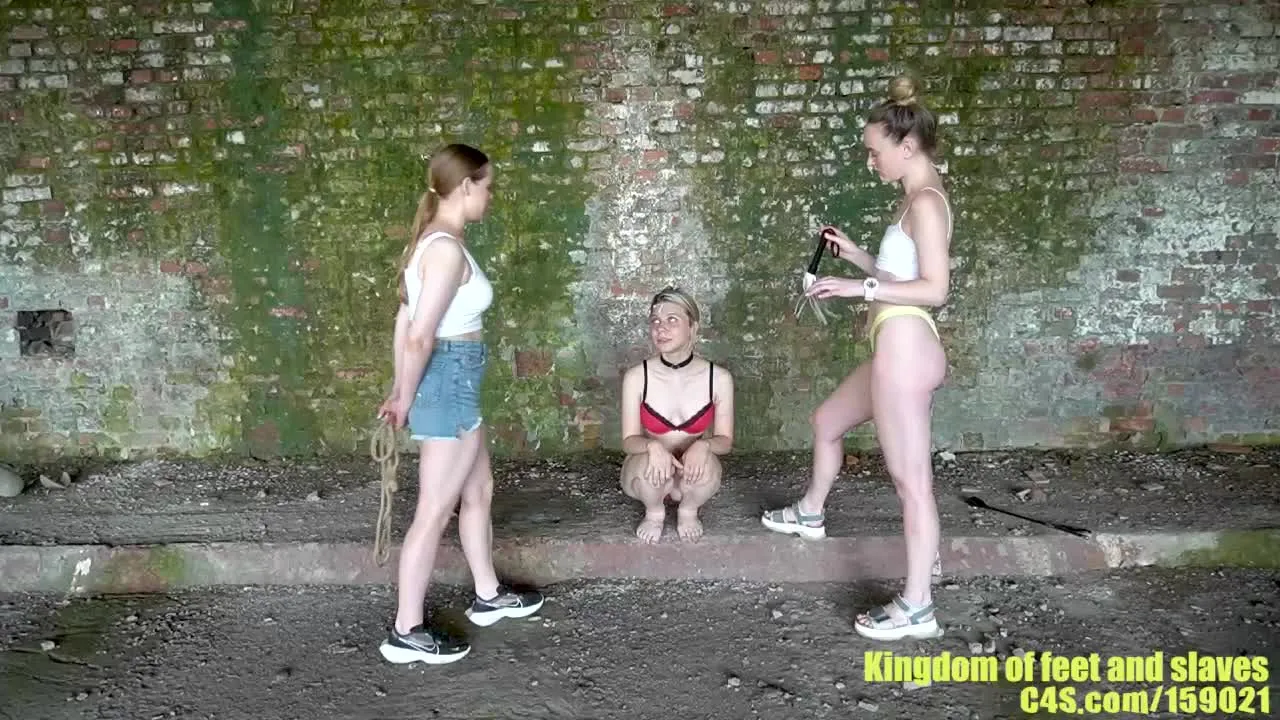 Punishment of a wandering bitch